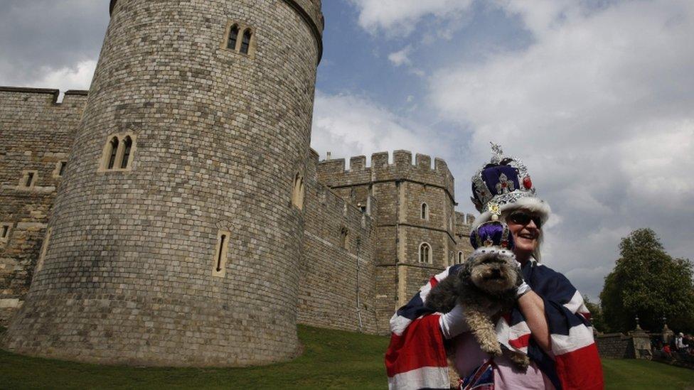 A royal fan and her dog