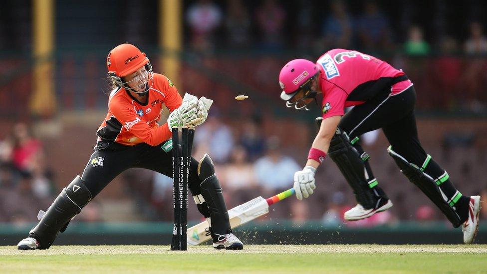 The Women's Big Bash League is increasing in popularity