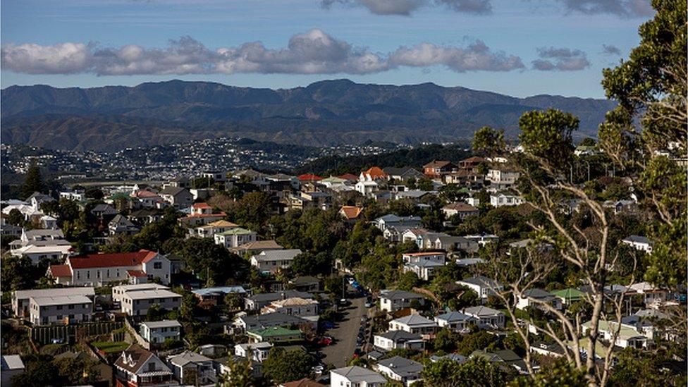 A view of Wellington City in New Zealand