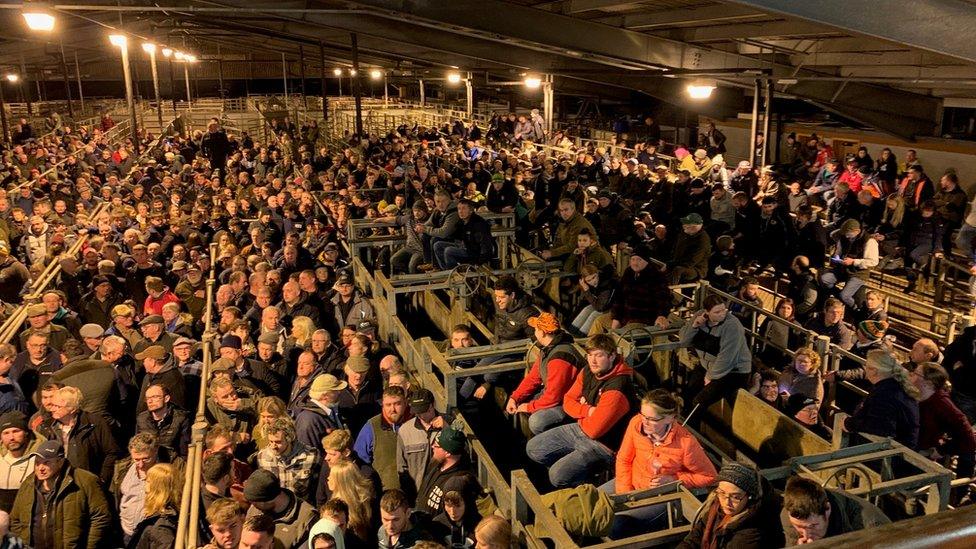 Thousands of farmers gathering for a mass meeting in Carmarthen