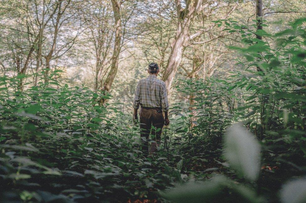 Ramiz stands in the forest