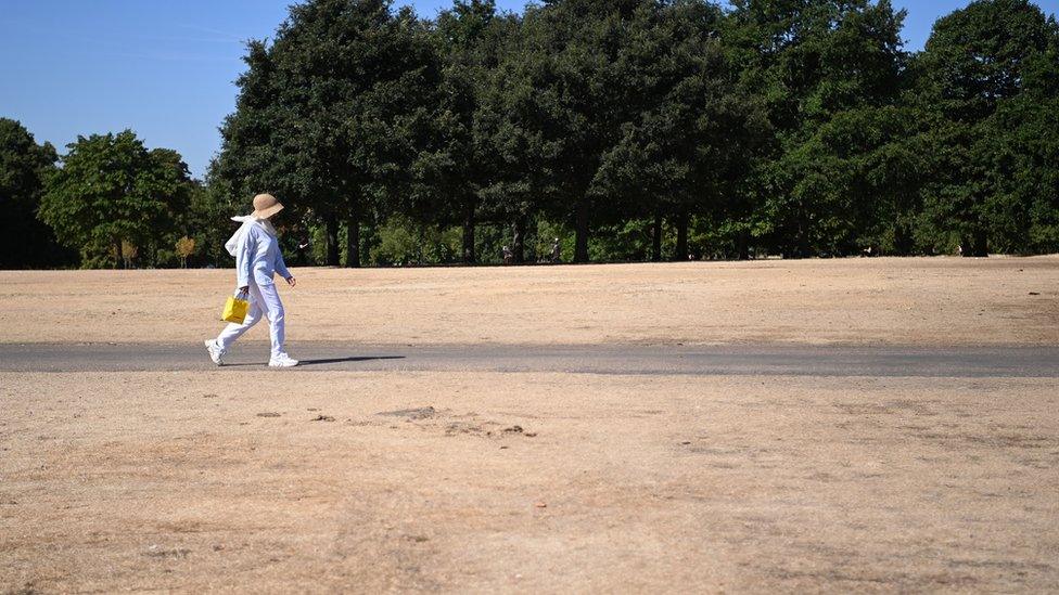 woman-walking-in-park.