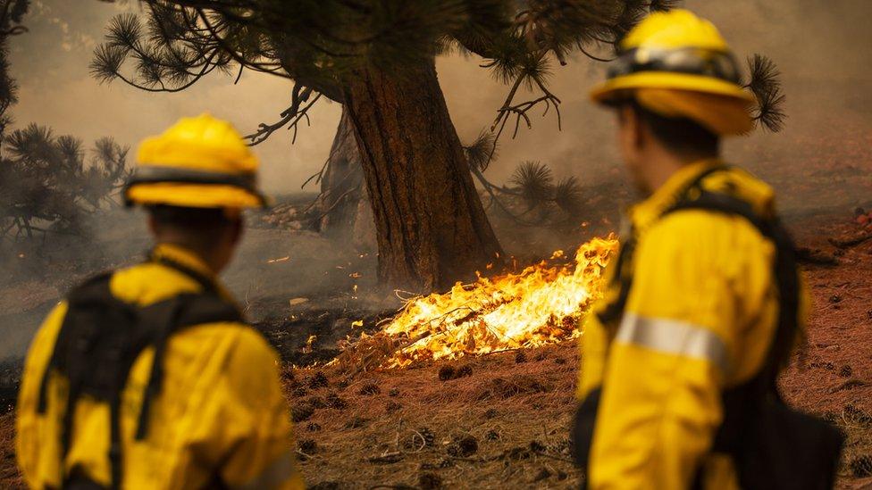 Firefighters in the US battle wildfires