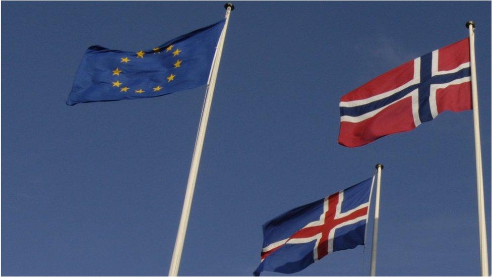 Flags of EU, Norway and Iceland