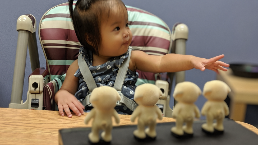 Infant who took part in the counting experiment