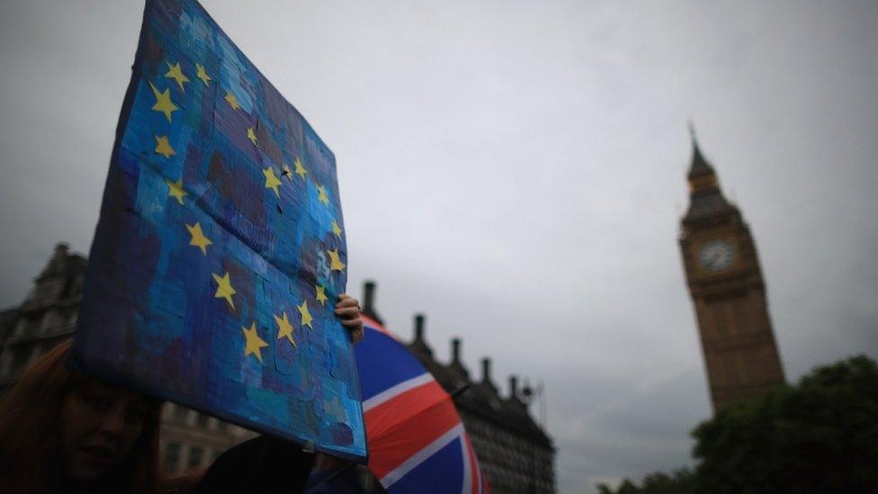 Protesters gather in front of the Houses of Parliament as they demonstrate against the EU referendum result on 28 June