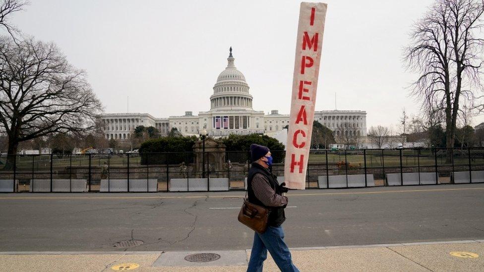 A demonstrator outside the Capitol