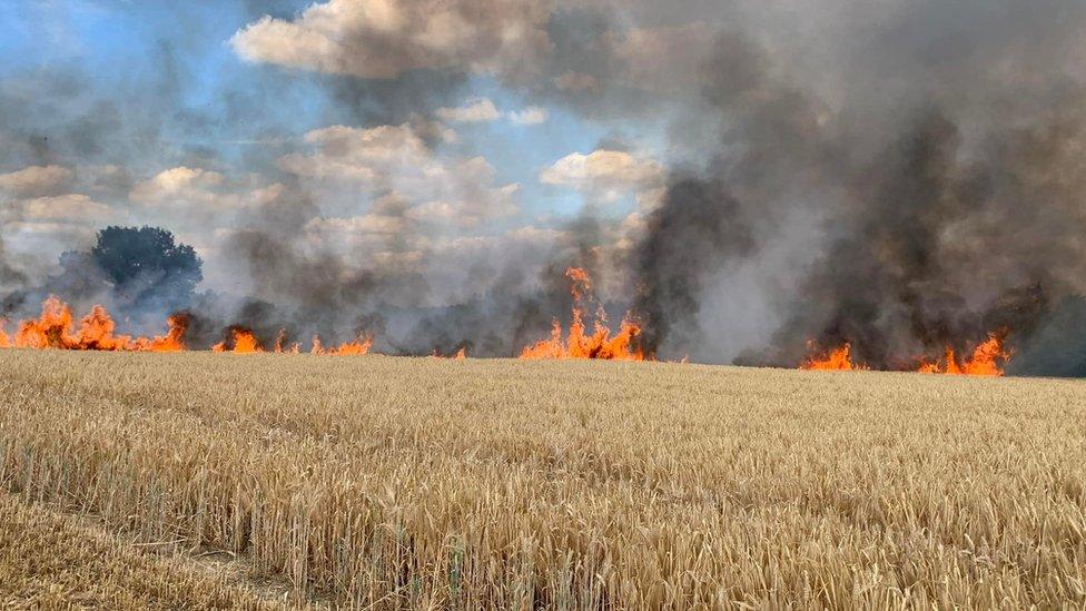 Fire in a field in Ongar