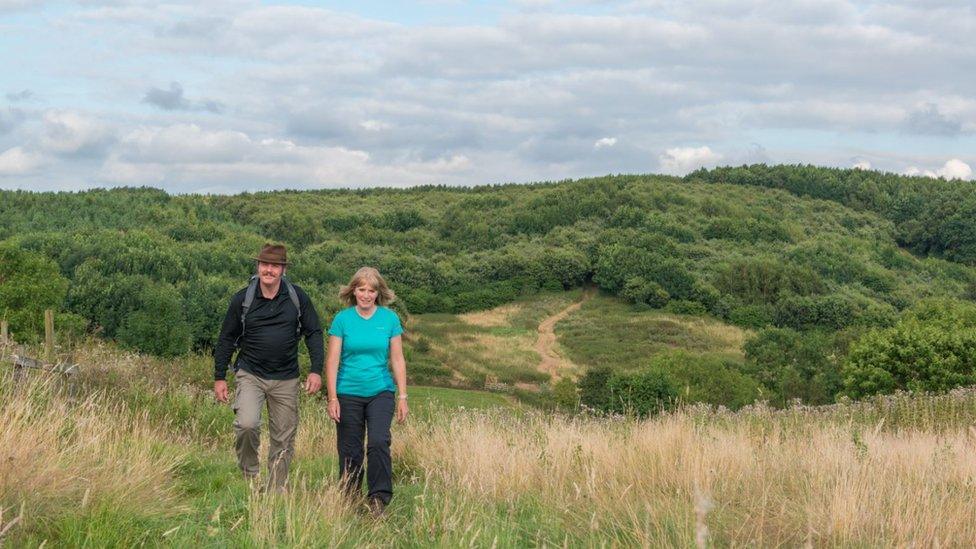 Walkers in National Forest