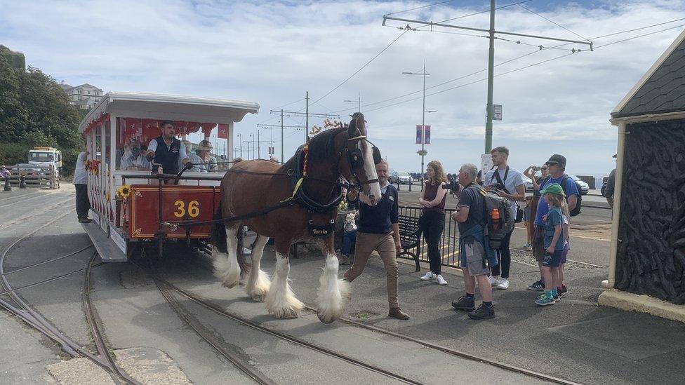 Douglas horse trams 2022