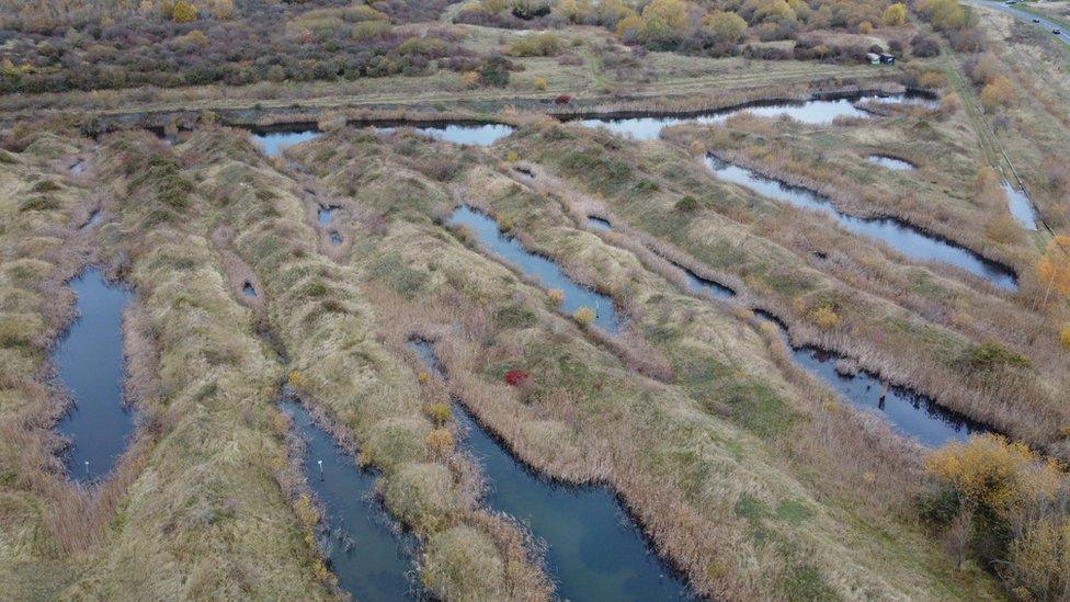 Aerial view of a nature reserve