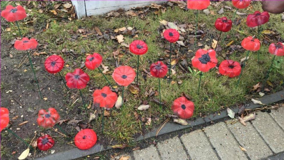 An image of a poppy display