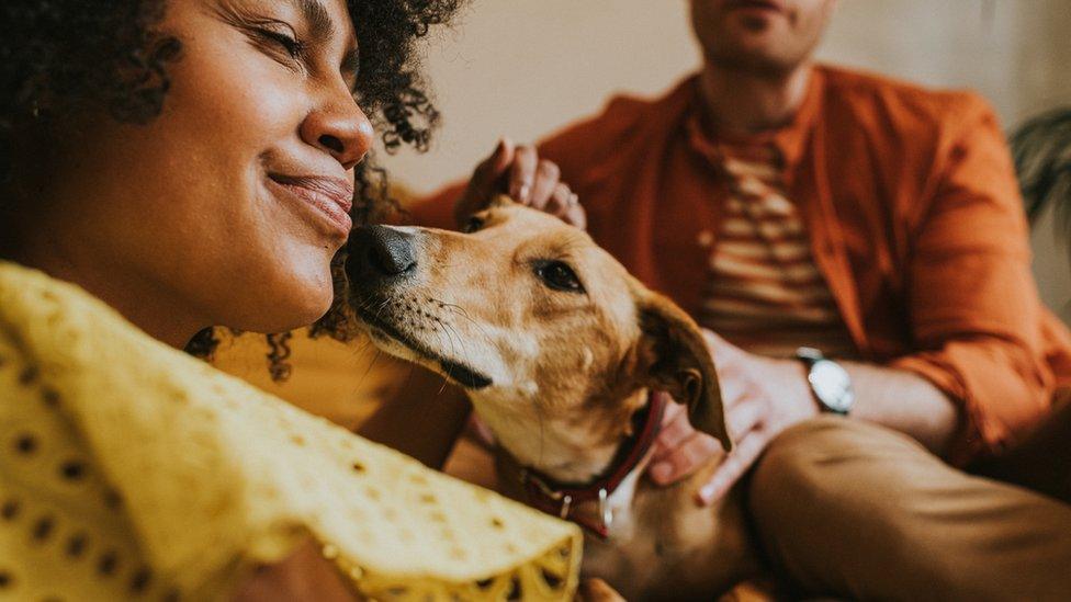 Stock image of woman and dog