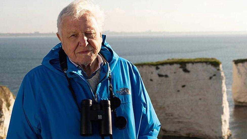 David Attenborough