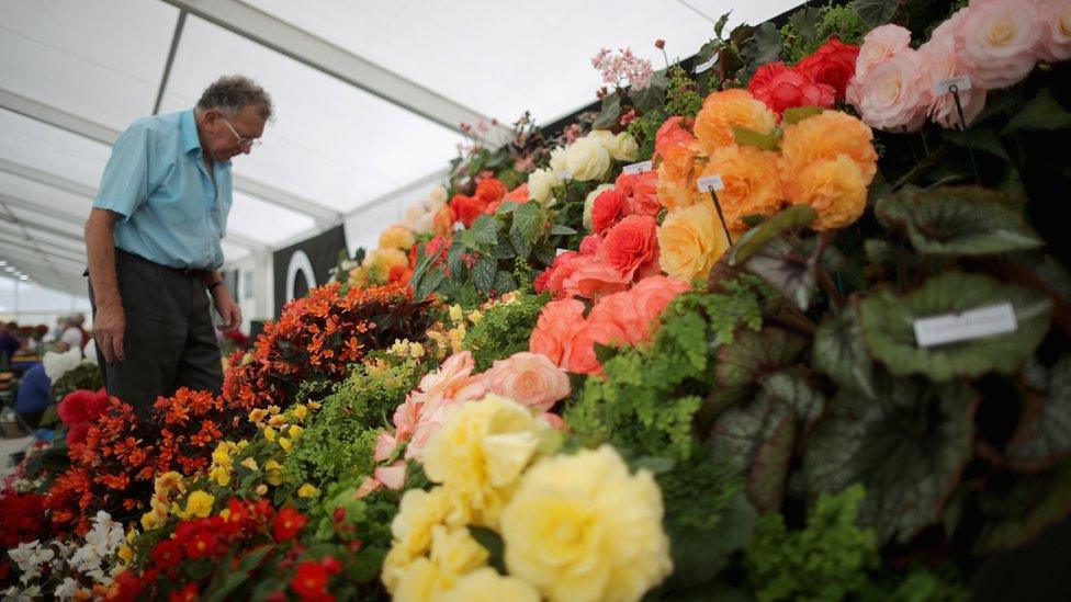 Southport Flower Show