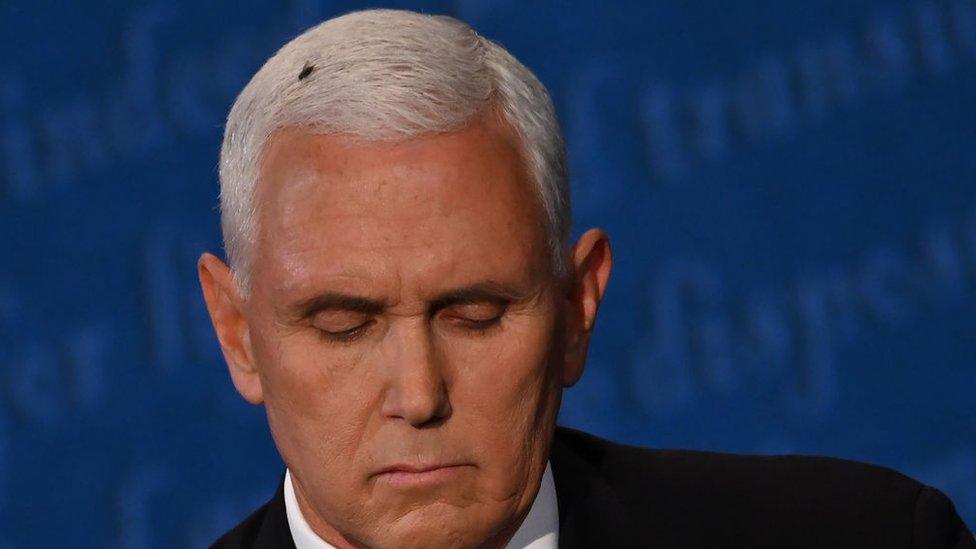 Mike Pence with a fly on his head.