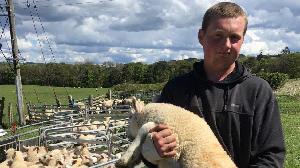 farmer with sheep