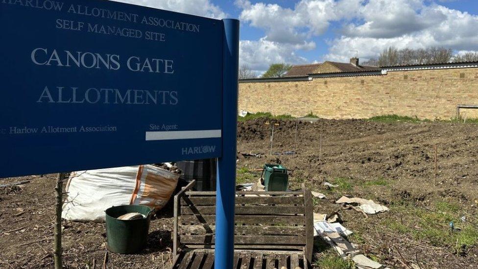 Allotments in Harlow