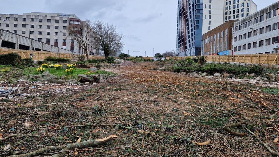 Armada Way after the tree felling