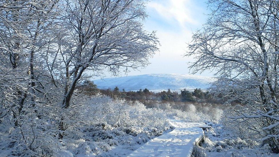 Snow in Pentlands near Balerno