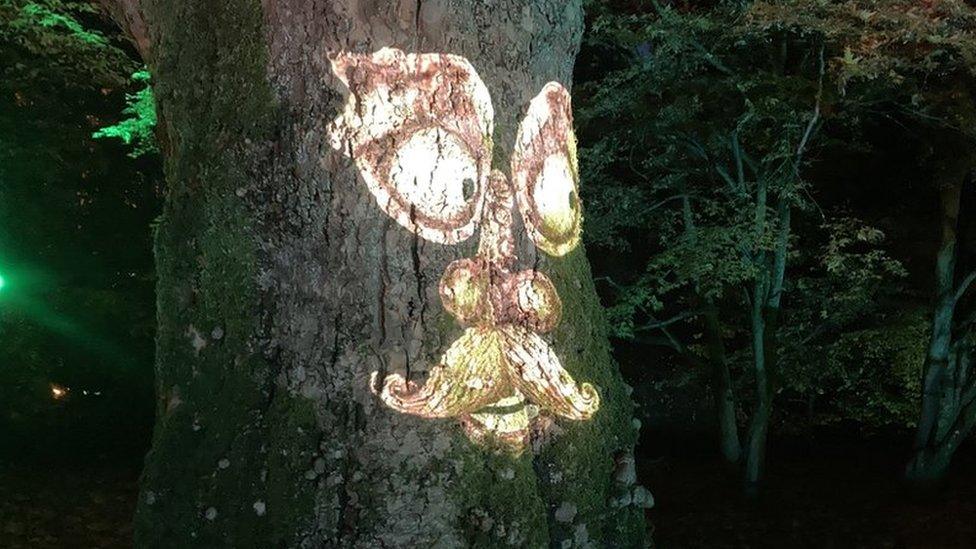 An older face with a moustache lit up onto a large tree trunk