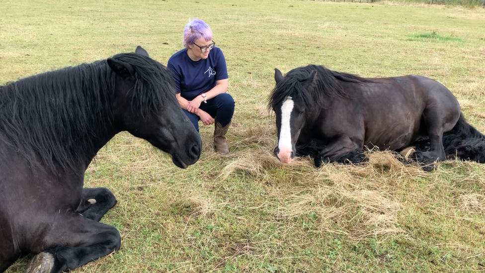 Danielle and horses