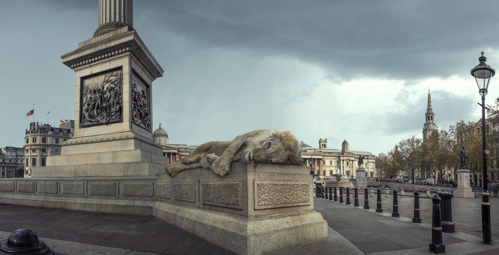 An abstract image of a lion laying dead on a plinth in London's Trafalgar Square