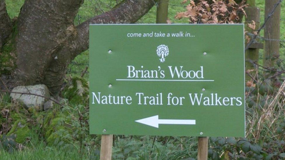 Brian's Wood