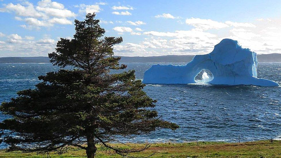 A small iceberg off the coast