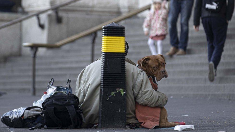 A homeless person sits with a dog on the street