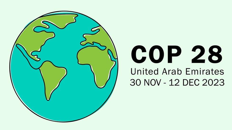 Cop 28 and globe