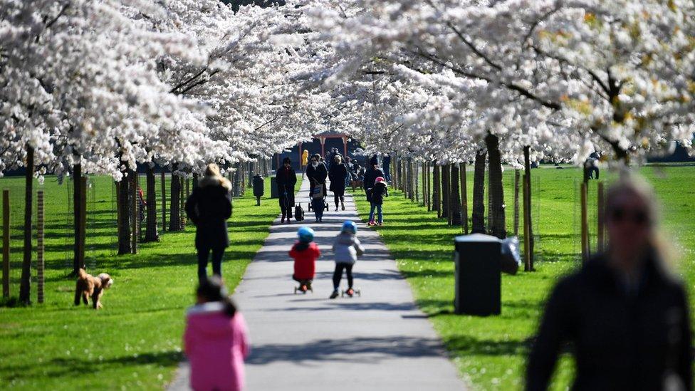 Families walk under cherry blossom trees in Battersea Park, as the number of coronavirus disease (COVID-19) cases grow around the world, in London, Britain March 22, 2020