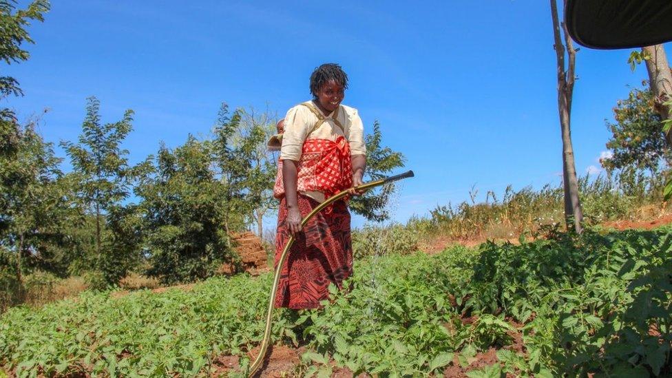 Kenyan farmer using Peter Mumo's irrigation system