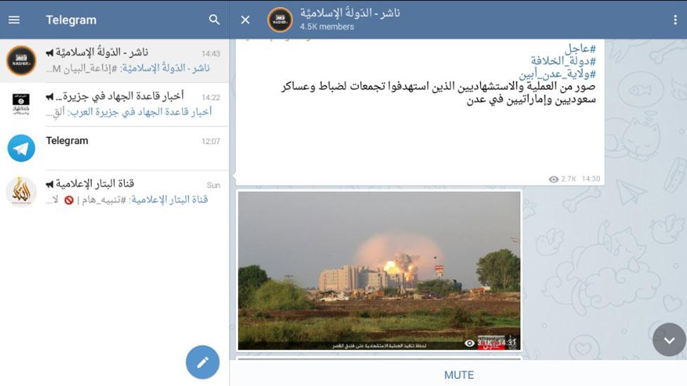 Screengrab from IS Telegram channel