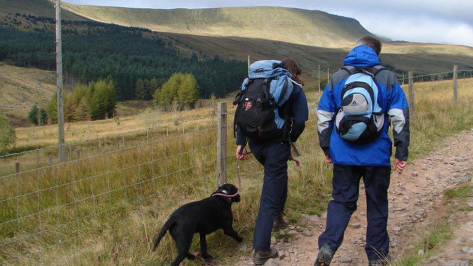 Pen y Fan