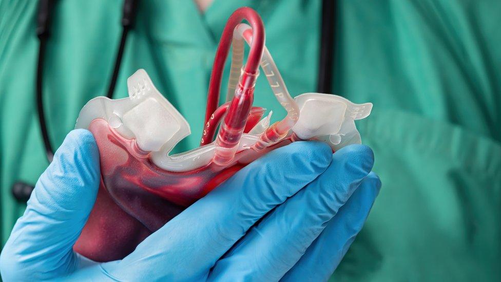 Medical staff member with surgical gloves on holding a blood bag