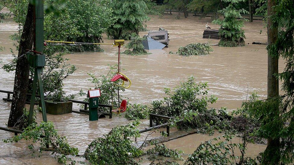 A flooded area at the zoo in Lünebach on June 1, 2018