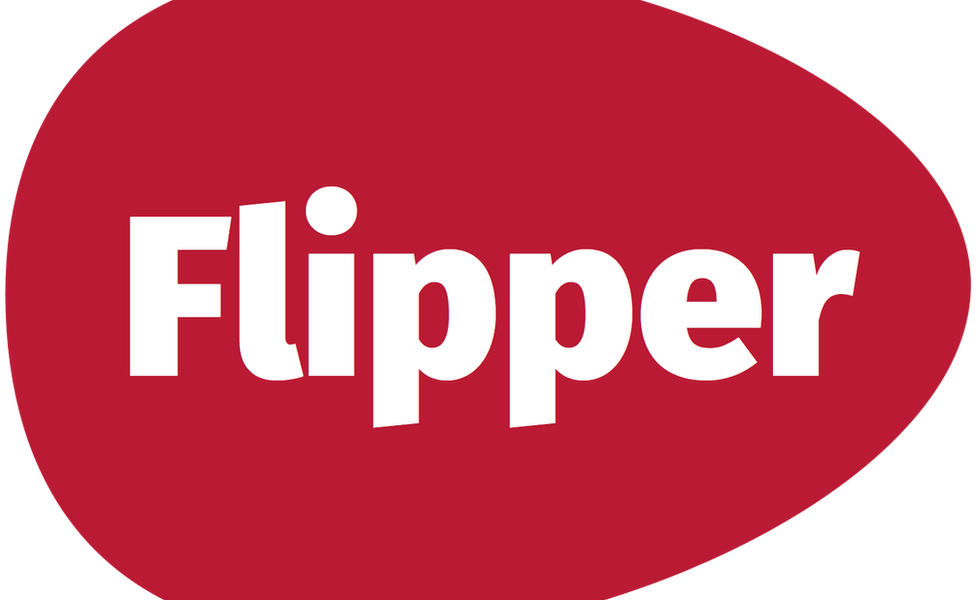 Flipper logo