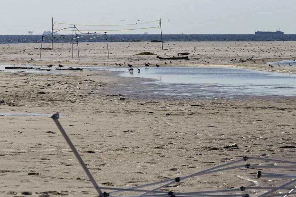 The volleyball netting