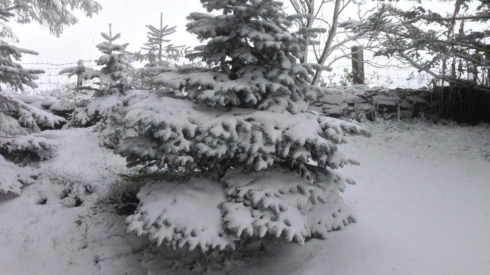 Snow in Llangollen