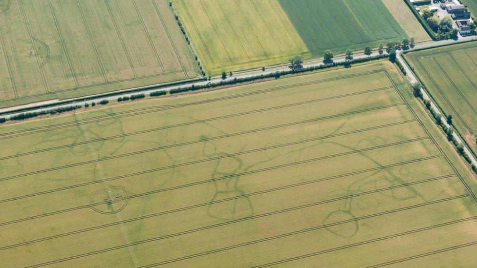 Cropmarks in field