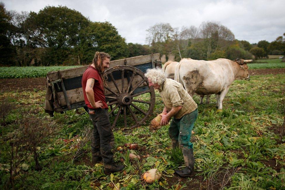 Jean-Bernard with a man next to a cart and oxen