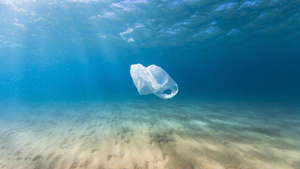 A plastic bag drifts in the clear blue ocean as a result of human pollution.