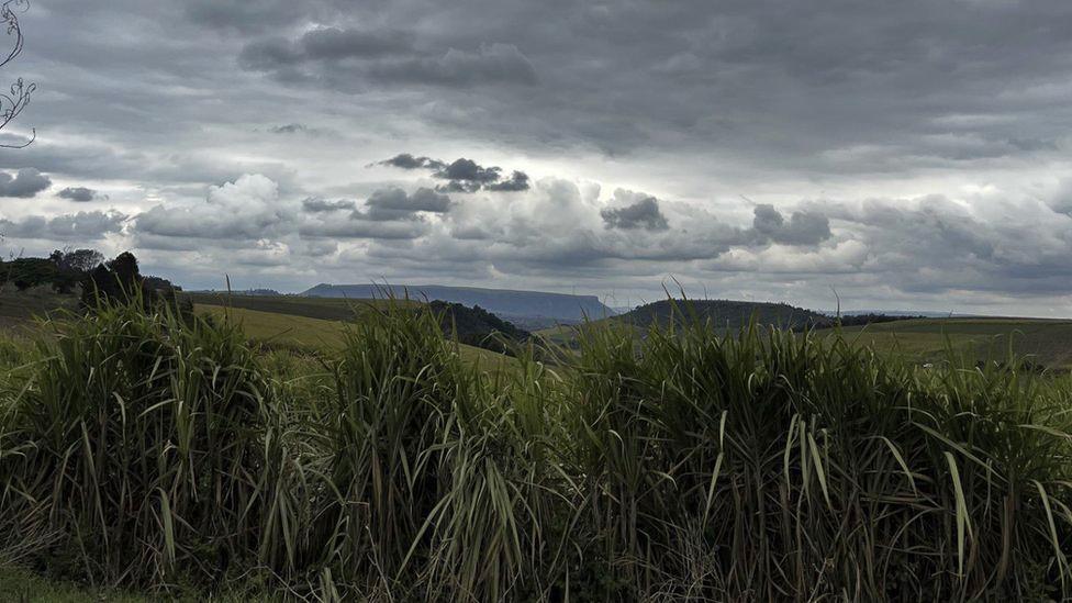 View of Table Mountain in Kwa Zulu Natal