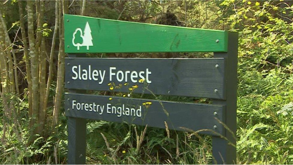 Slaley Forest sign