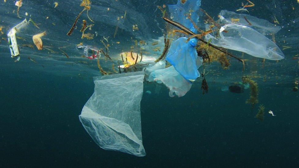 plastic bag and rubbish floating in ocean.