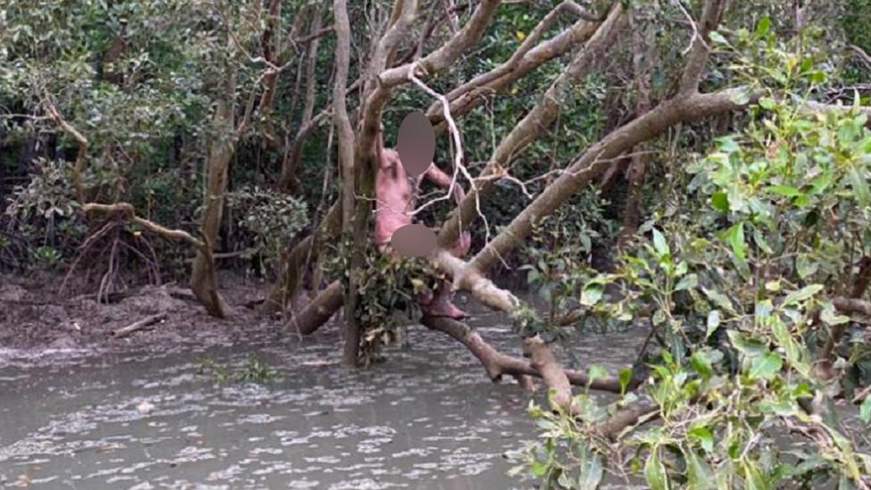 A fugitive who was found clinging to mangroves near Darwin, Australia