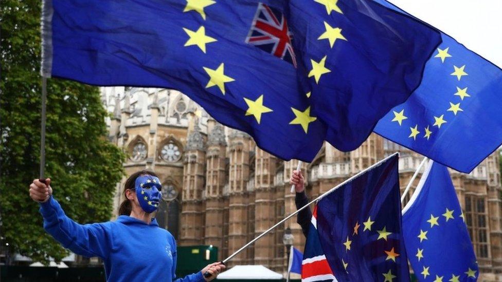 Protesters waving EU and Union flags