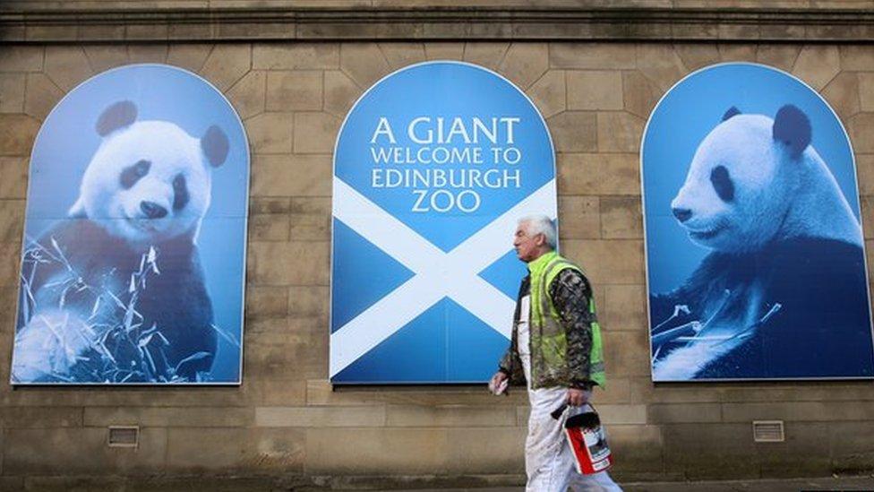 Maintenance worker Brian Young helps with final preparations at Edinburgh Zoo ahead of the arrival of giant pandas Tian Tian and Yang Guang,