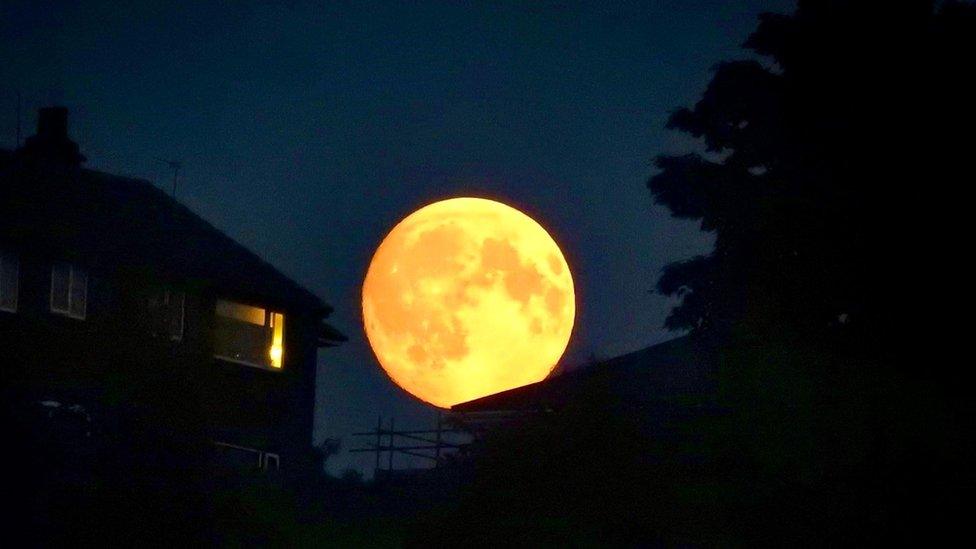 Blue supermoon taken in Rotherham, South Yorkshire